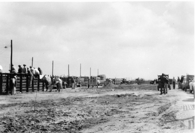 stockyards with holding pens, cowboys on the fences, cars & trucks parked in the fields