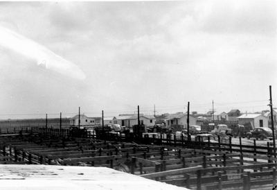 stockyard holding pens