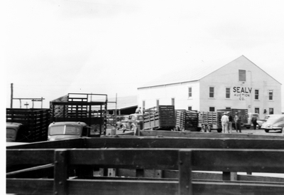 Sealy Auction Co, Texas