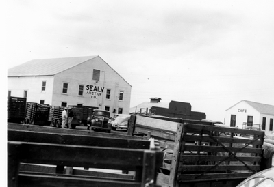 Sealy Auction Co. & Cafe, Texas