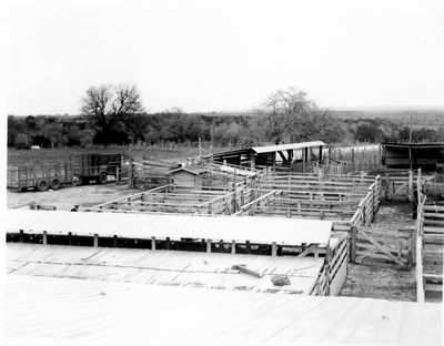 Holding pens of a stockyard