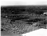 Stockyard holding pens with cattle & workers