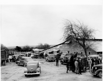 Ranchers & farmers visiting in the parking lot of livestock auction company