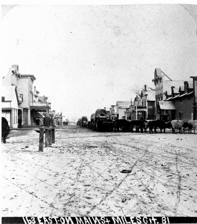 Diamond R bull train - Miles City, Montana