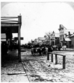 Diamond R bull train - Miles City, Montana