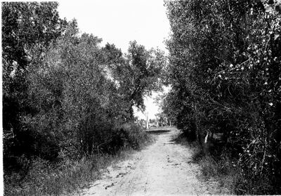 In the Lower Yellowstone Valley near Glendive
