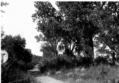 Near Glendive, August 1908