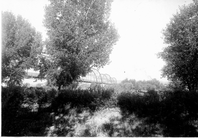 Bridge across Yellowstone at Glendive, August 1908