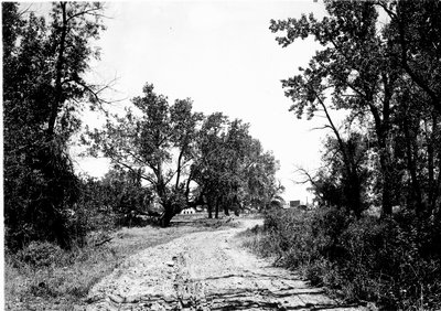 In the Yellowstone Valley near Miles City