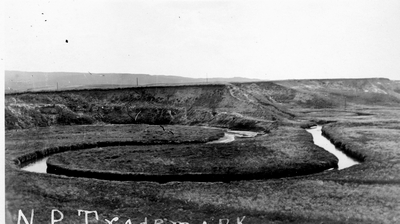 N.P. Trademark