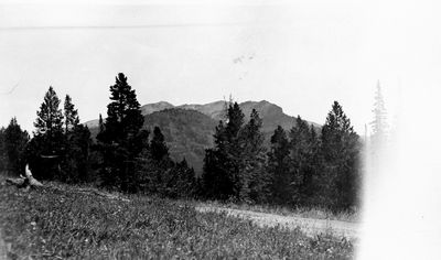 In a high mountain meadow viewing the mountains