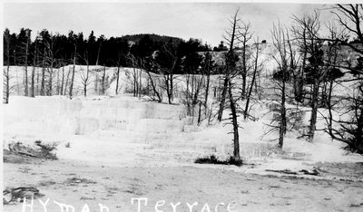 Yellowstone National Park - Hyman Terrace