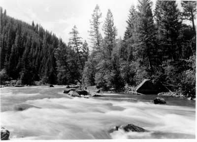 In Gallatin Canyon - the Gallatin River