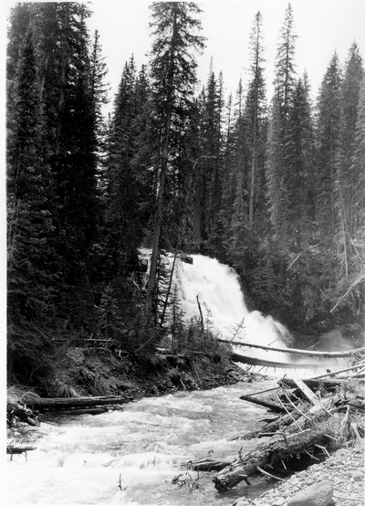 On Upper Hyalite Creek