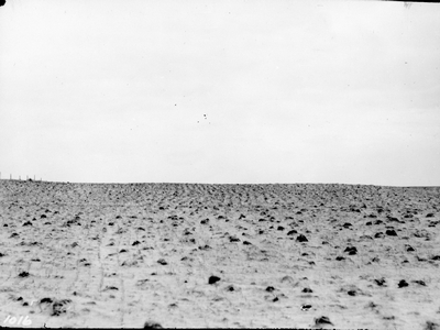 Field in drought
