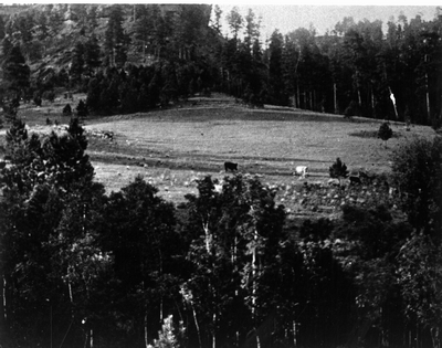 Custer National Forest near Ekalaka, Carter County, Montana