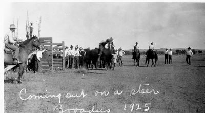 Coming out on a steer, Broadus, 1925