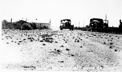 Crickets on Broadus Main Street