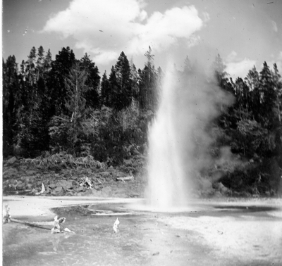Geyser in eruption