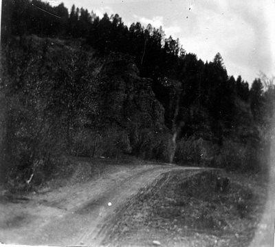 Forest road