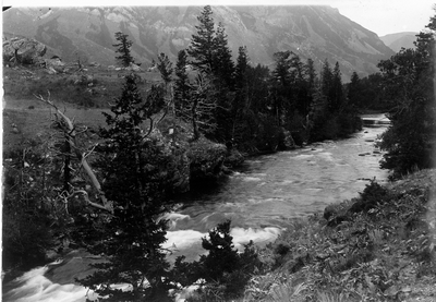 Gallatin River