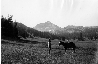 Man & horse in mountain meadow