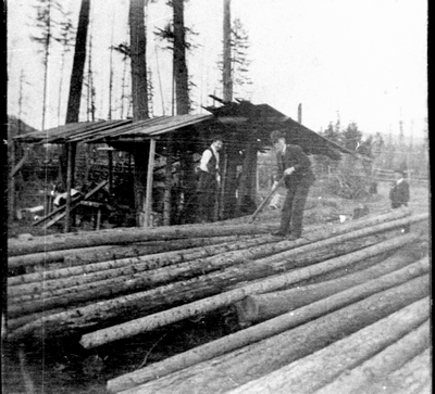Logging