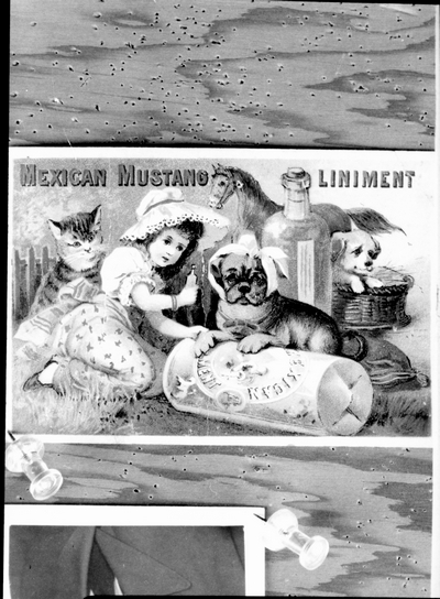 Mexican Mustang Liniment