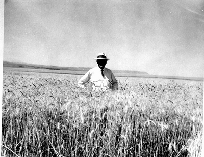 Thomas Campbell