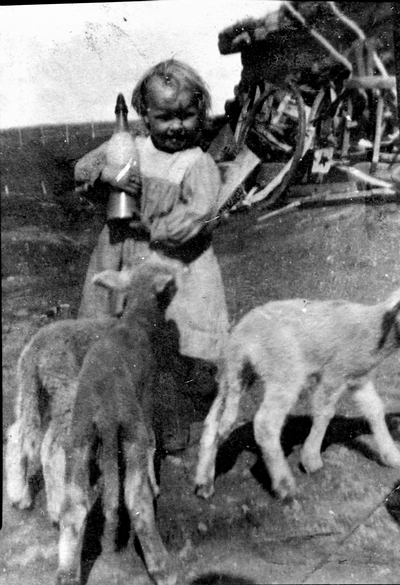 Alida Anderson (Herigstad) with Bum Lambs
