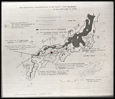 Japan - research materials, reprints, correspondence, etc.