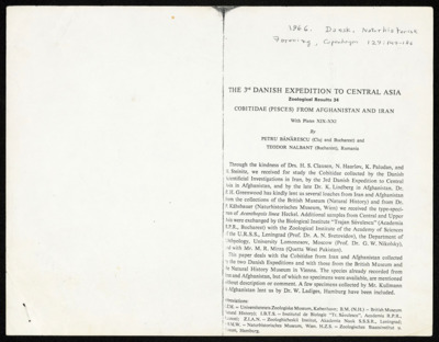 Middle East - Petra BÄƒnÄƒrescu - reprints, articles
