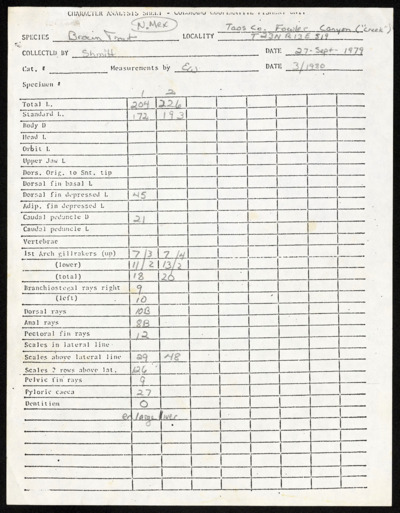 U.S. Southwest - New Mexico - papers, research notes, reprints, correspondence
