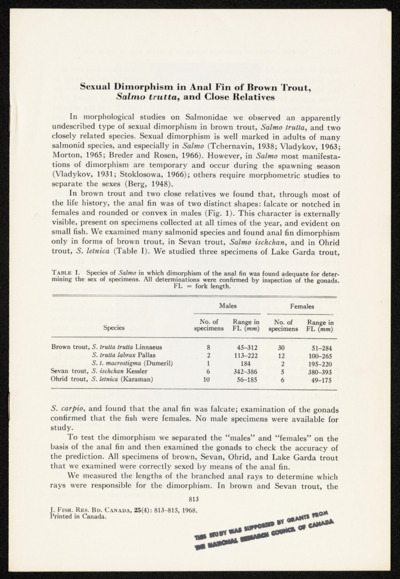 Brown Trout-Sexual Dimorphism in Anal fin of Brown Trout