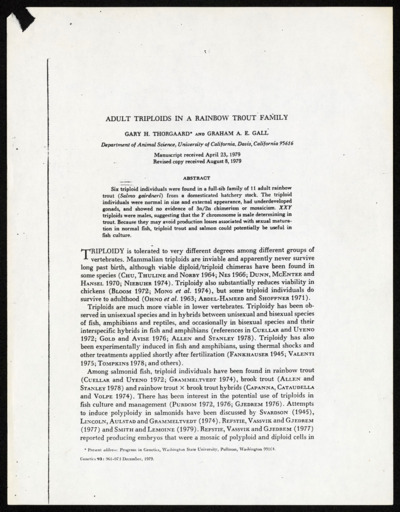 Rainbow-Articles