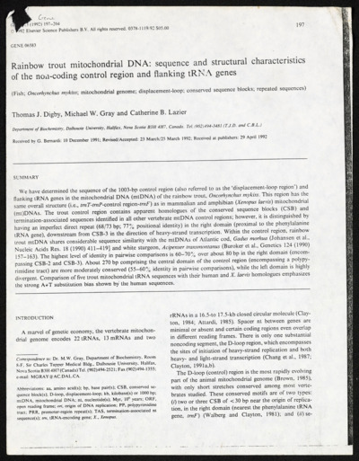 Rainbow-Articles
