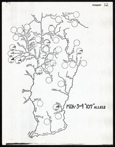 Kern River-Notes