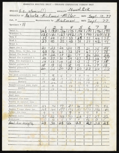 Westslope Cutthroat-Research