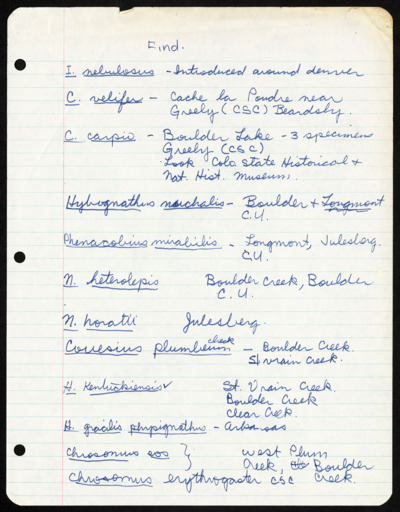 Castomid-Notes