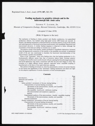 Teleostei-Articles