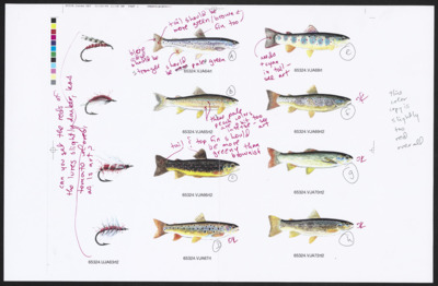Illustration corrections for an Audubon article