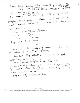 Paper About Bear Brave and Brave Dog