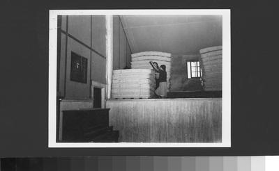 Mattress Production Output by Early 20th Century Arapaho Women