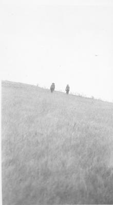 Old Bull and Butterfly leaving tobacco gardens