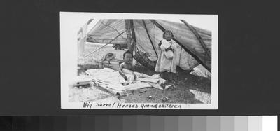 Black and white photo of Big Sorrel Horse