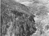 Black and white photo of Cameron Brook from Akamina Highway in Glacier National Park, Montana