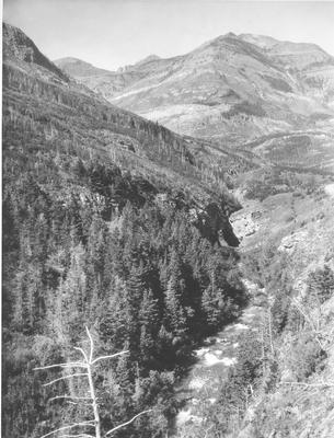 Black and white photo of Cameron Brook from Akamina Highway in Glacier National Park, Montana