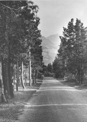 Black and white photo of the road Approaching Mt. Virny, Glacier National Park, Montana