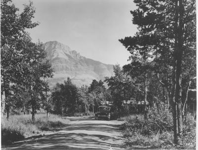 Black and white photo of an automobile driving through the forest in Glacier National Park