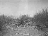 Archaeology - Southwest: Site on West Edge of Cline Ranch Ruin